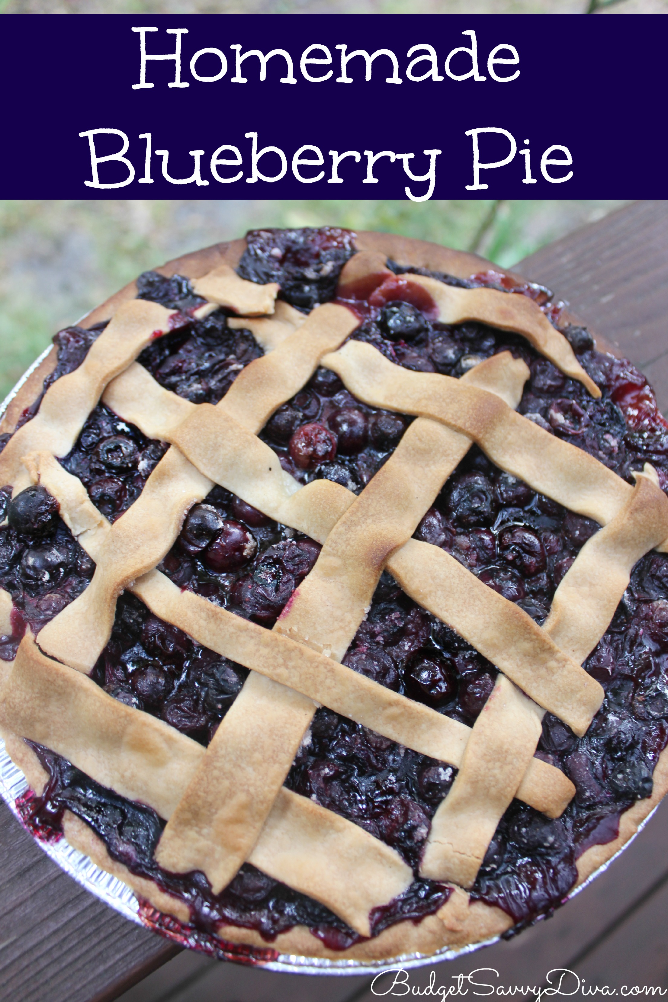 Homemade Blueberry Pie Recipe - Budget Savvy Diva
