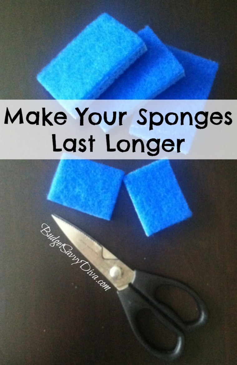 how to get sponges to move out