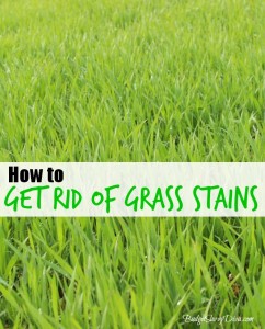 How to Remove Grass Stains from Clothing - Budget Savvy Diva