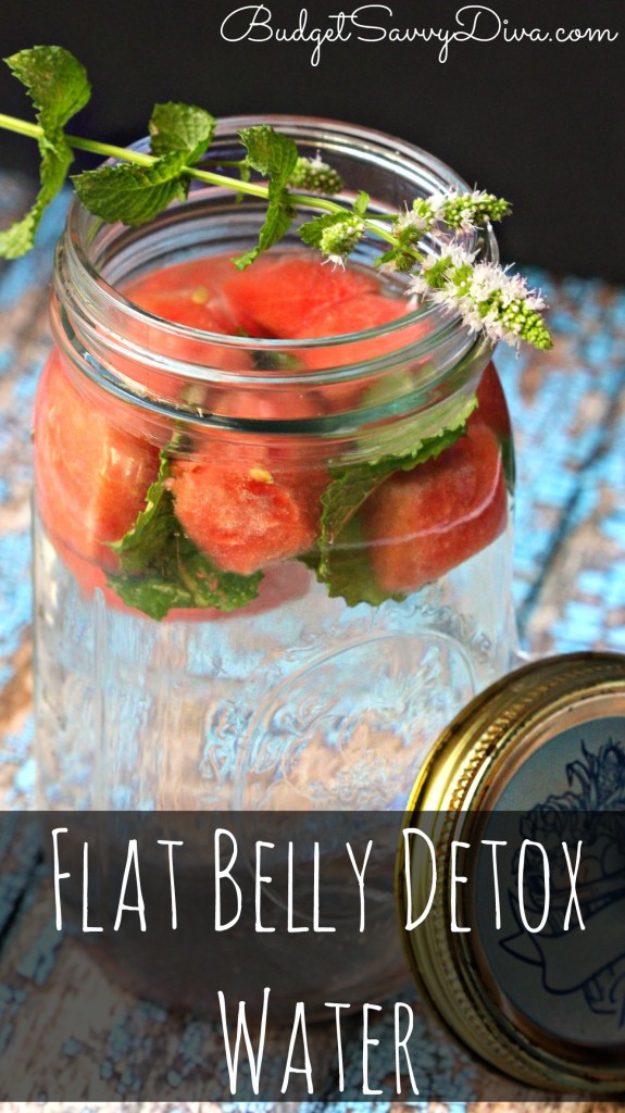 Flat Belly Water Recipe - Budget Savvy Diva