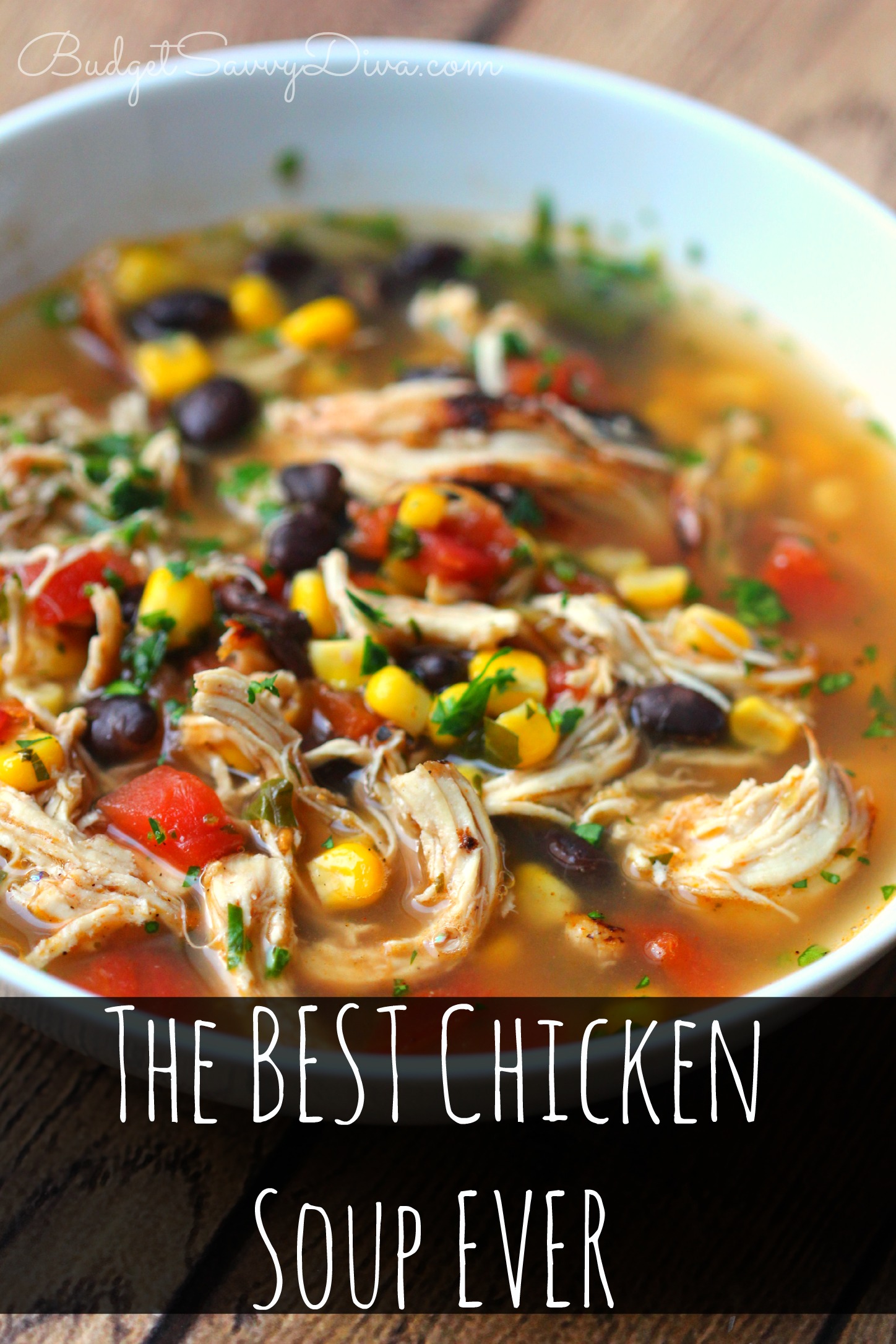 The BEST Chicken Soup Ever Recipe - Budget Savvy Diva