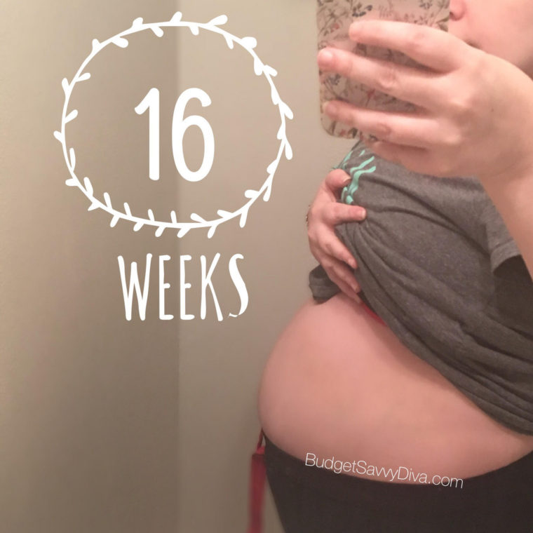 16 Weeks Pregnant With Twins Update Budget Savvy Diva