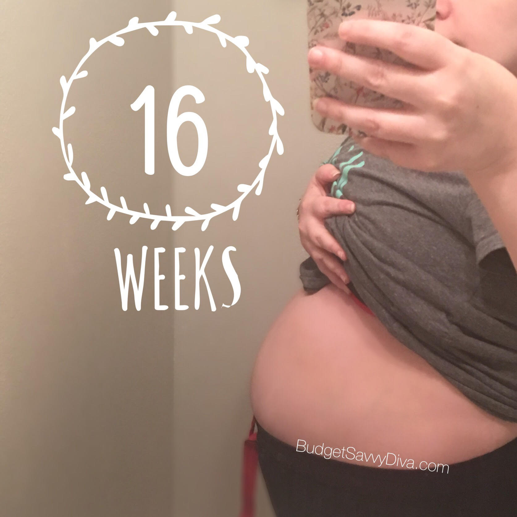 16 Weeks Pregnant With Twins Update Budget Savvy Diva 