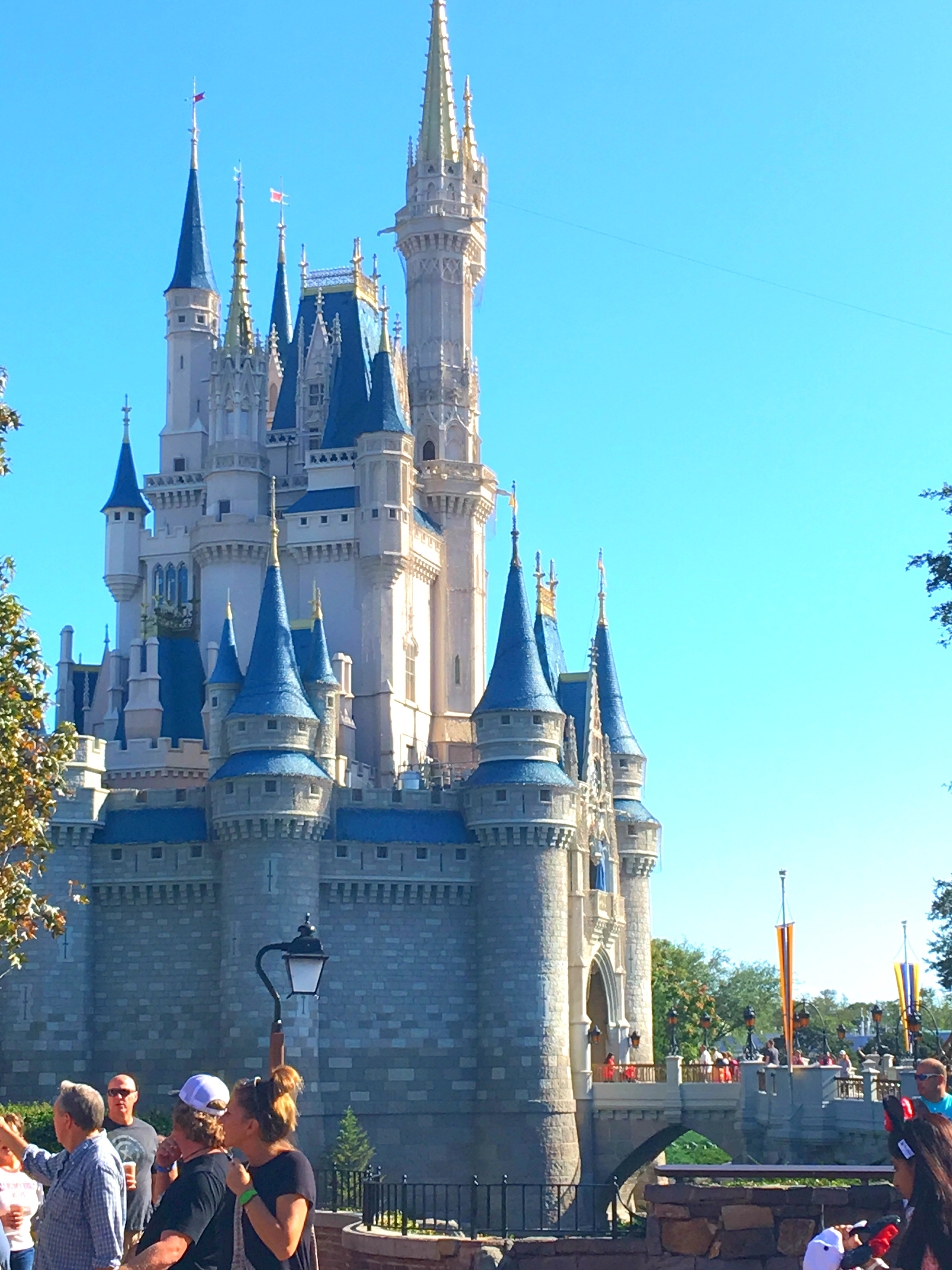 how-to-plan-a-disney-world-vacation-on-a-budget-budget-savvy-diva